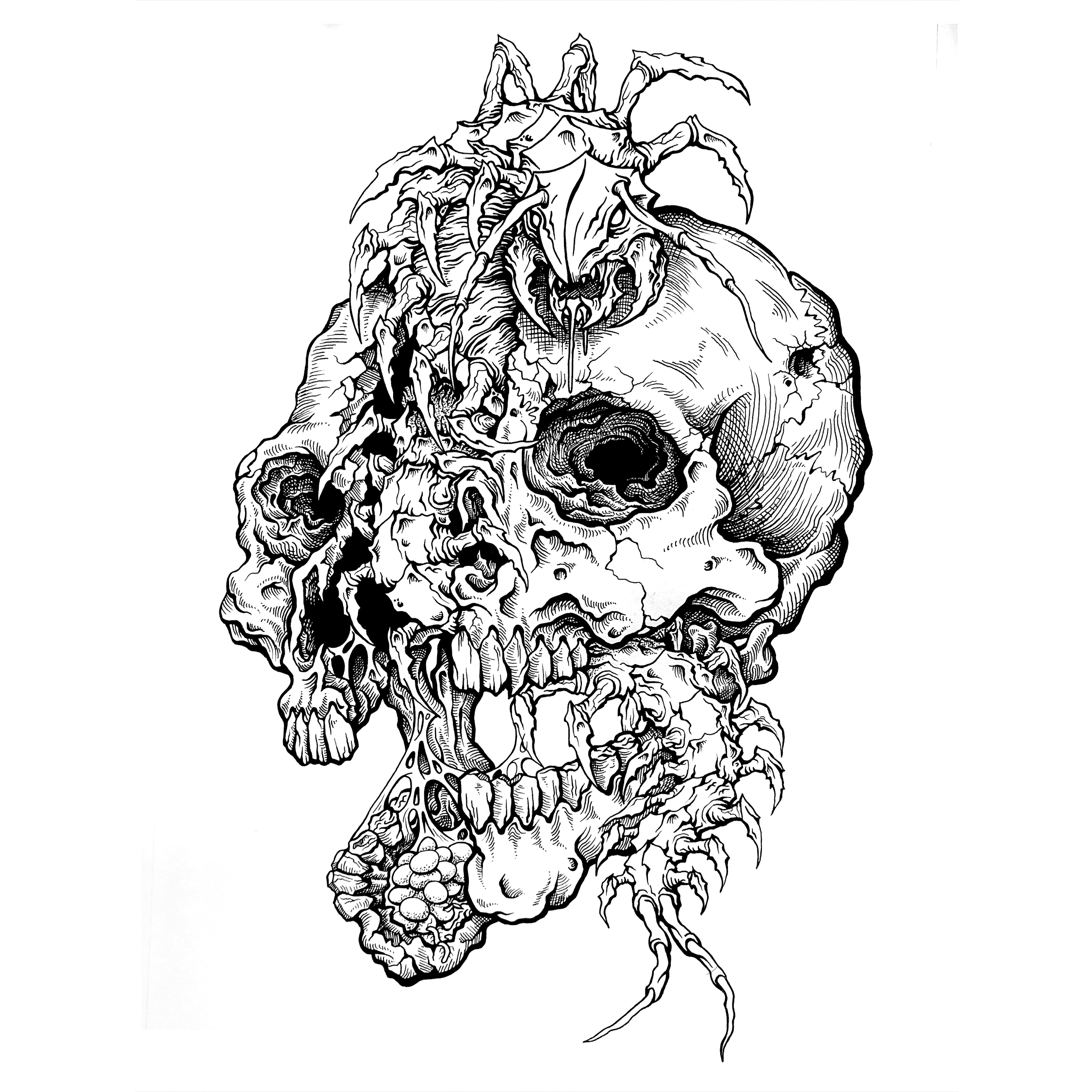 Cymothoa1